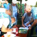 Ogród 4